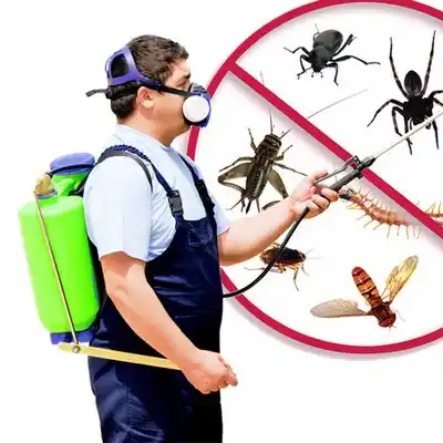 pest control Lake Buckhorn